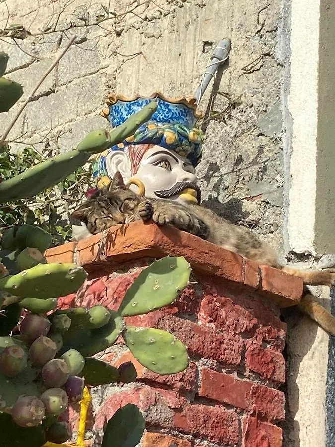 Casa vacanze Leto Letojanni Appartamento